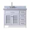 ARI-D043S-L-VO-WHT image