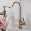 Kraus Allyn™ Drinking Water Dispenser Beverage Kitchen Faucet in Multiple Finishes