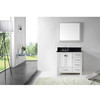 VI-GS-50036-BGRO-WH-001 image